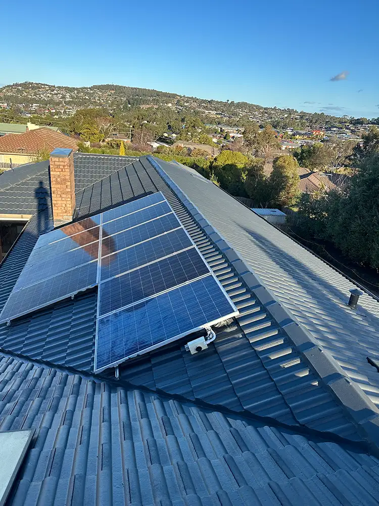 Roof Painting