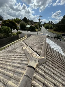 Roof Painting