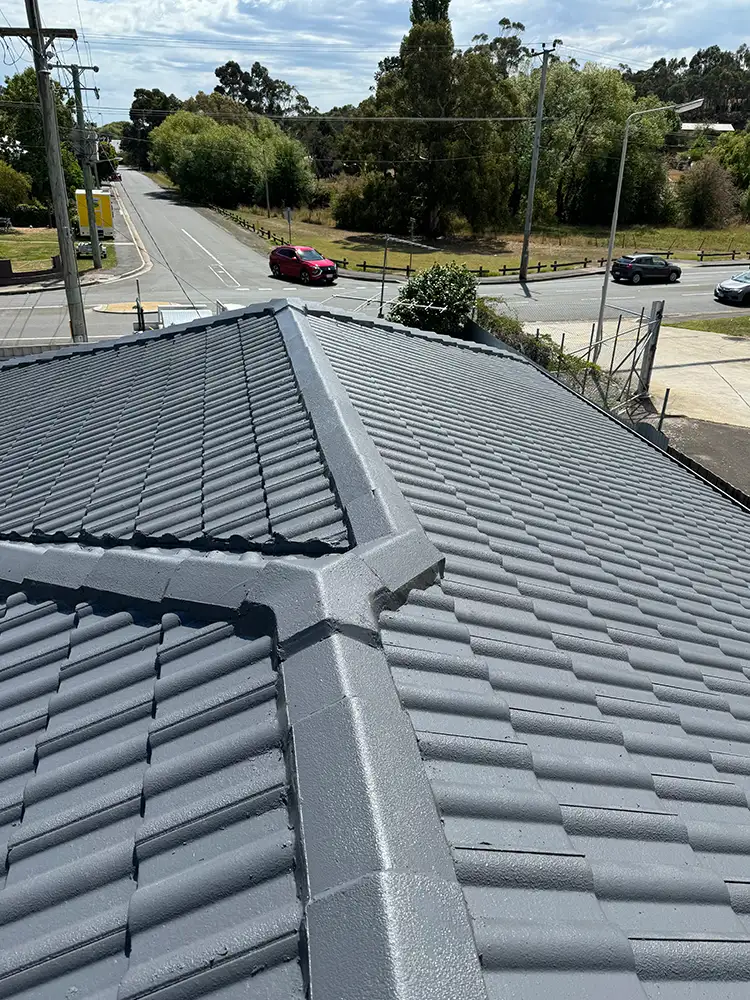 Roof Painting