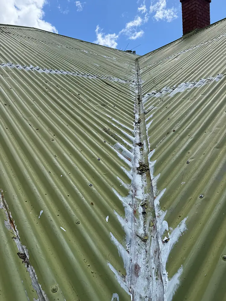 Roof Painting